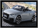 2019, Audi TT RS, Roadster