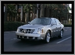 Droga, Cadillac DTS, Palmy