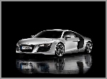 Audi R8, Mokry, Odbicie, Asfalt